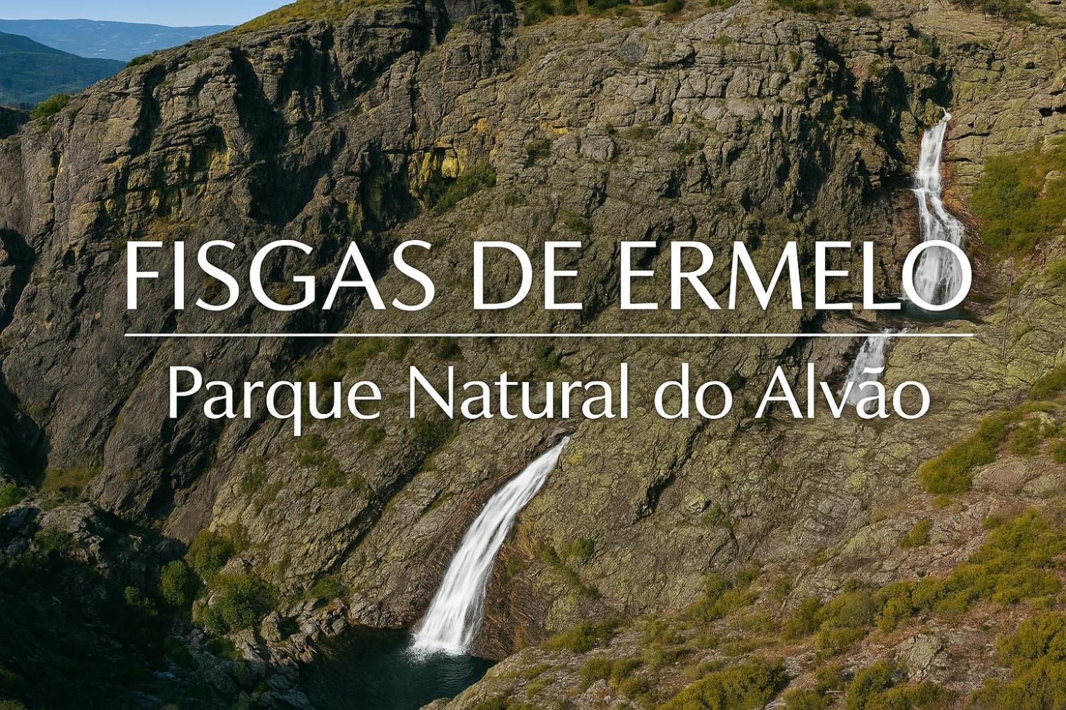 Panoias Vila Real